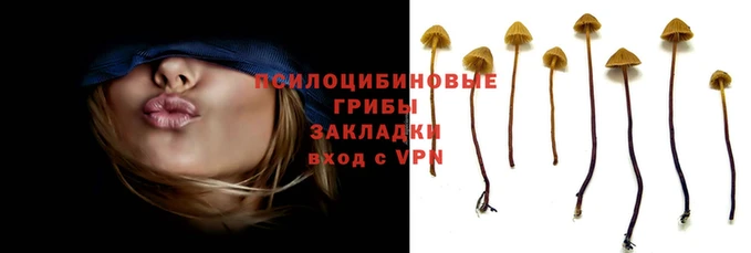 дмт Заволжск