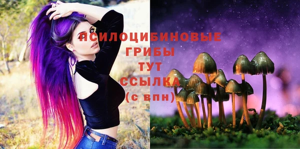 гидропоника Заводоуковск