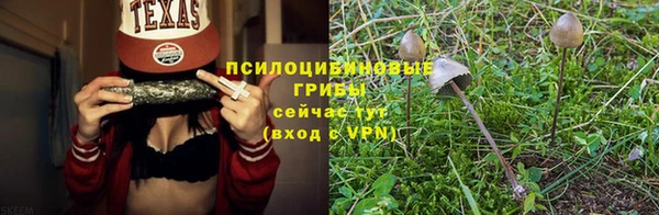 дмт Заволжск