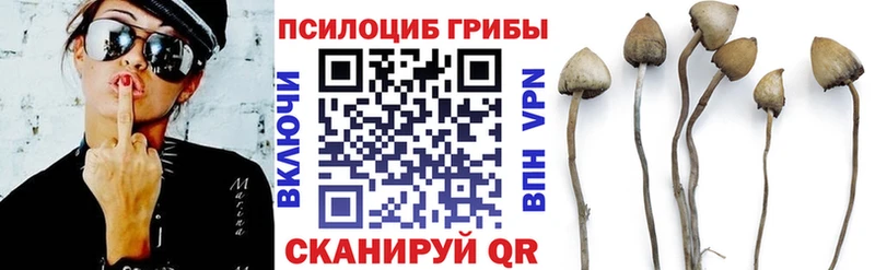 Псилоцибиновые грибы Magic Shrooms  Холмск 