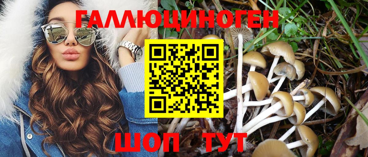 Псилоцибиновые грибы GOLDEN TEACHER Холмск