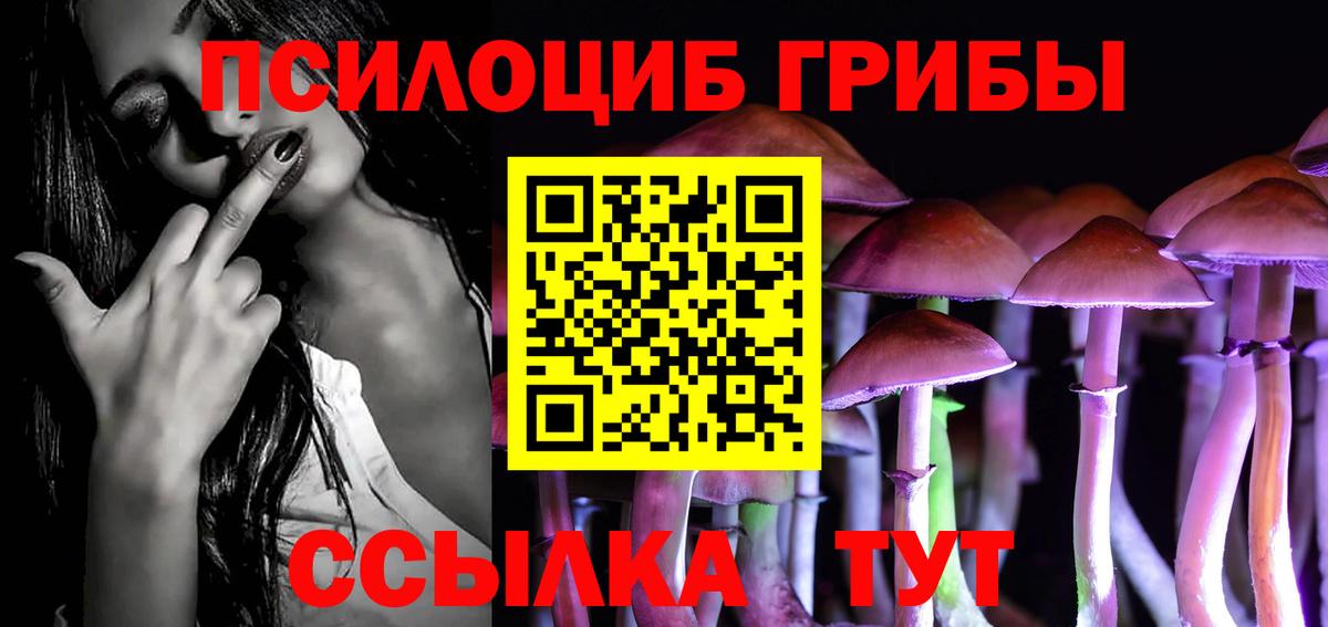 Холмск  Галлюциногенные грибы MAGIC MUSHROOMS  Вход с VPN 